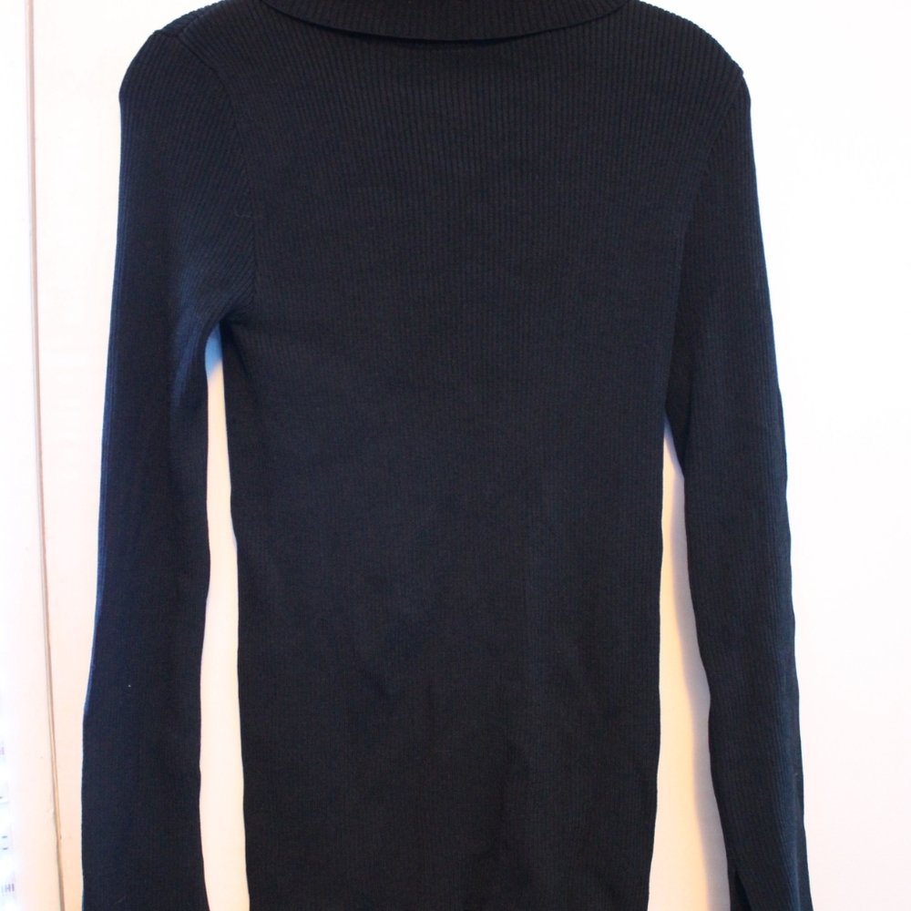 Black Philomena Petti Turtleneck sweater
